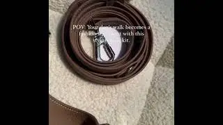 POV: Your Dog's Walk becomes a Fashion Statement with this Stylish Walk Kit #dogaccessories #dogwalk