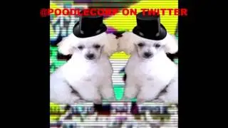 Leafyishere poodlecorp Hacked deleted video