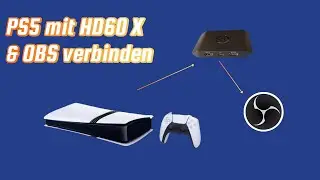 PS5 mit HD60X & OBS verbinden