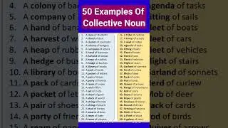 50 Examples Of Collective Noun #Ytshorts