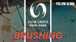 💦 Why Brushing Your Pool Matters (And Why You Shouldn&rsquo;t Stress About It!) | Clear Choice Pool Care