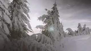 Bergbahnen Feldis | Einfach echt.