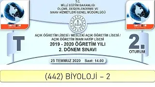 2020 / 2. DÖNEM / AÇIK ÖĞRETİM LİSESİ / (442) BİYOLOJİ – 2