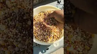 peggion shorts and vedios##homer pura#sadha pura#karna pura#homer peggion#racing peggions food#all##