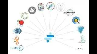 The Open Targets Platform