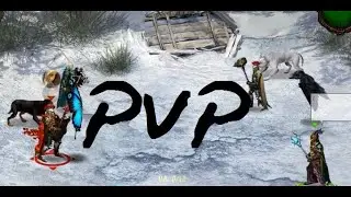 Taern Walki PvP
