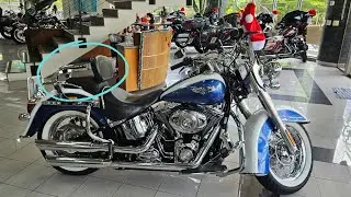 SOFTAIL DELUXE (Harley-Davidson) | New Park Ve&iacute;culos