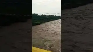 Jammu Tawi During Flood #monsoon2023 #jammukashmir