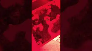 Under A Messor Barbarus Red Cover