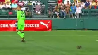 Crazy squirrel on the football pitch