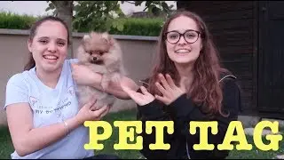 PET TAG + giveaway