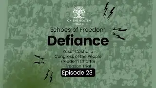 Defiance: Echoes of Freedom