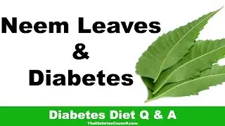 Are Neem Leaves Good For Diabetes?