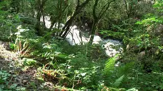 East Lyn river between Brendon and Watersmeet in Devon.