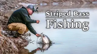 Striped Bass Fishing 2025 || Catching a Nova Scotia Keeper!