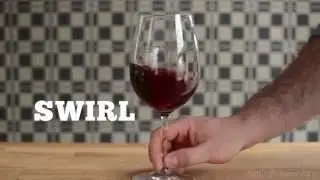 How to Taste Wine