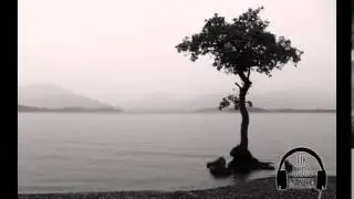 Driule XL - 50 Shades Of Grey