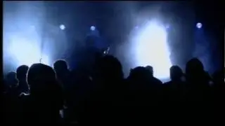 Maple Cross - au revoir - live 2006
