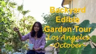 Urban Backyard Garden Tour - October | Growing Food | Los Angeles