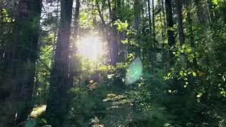 Mount Douglas Park Drone film