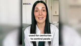 Breeze Aura-Shield vs. Chemical Collars: The Ultimate Dog Collar Comparison #doglover #petlovers