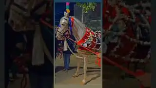 2 Muharram Meeranpur Akbarpur Ambedkar Nagar Uttar Pradesh 2023