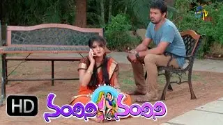 Nandini Vs Nandini - 18th May 2016 -  నందిని Vs నందిని - Full Episode 133