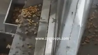 Nut and walnut shelling peeling machine and nut, pecan and walnut shell kernel separation machine