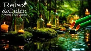 Soothing Water Sounds 🌱 Relaxing Nature Ambience for Meditation & Focus