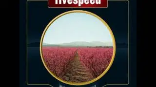 Fivespeed - Mistake