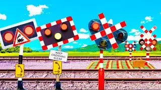 Railroad Crossing Having a Picnic 😂 (Spoorwegovergang)