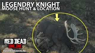 Legendary Knight Moose Hunt & Location in Red Dead Online