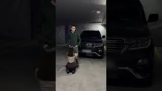 Суть 21 века 💸 #рекомендации