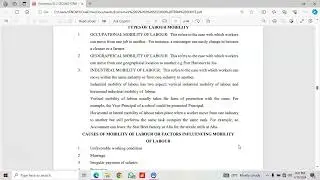 LABOUR MARKET IN ECONOMICS