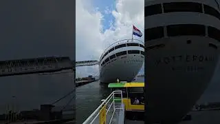 Ss Rotterdam ⚓️🛳 #travel #fyp #amsterdam #rotterdam #explore #shorts #nature