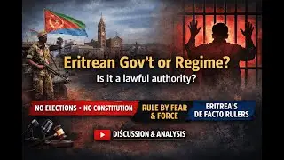 Eritrea: Government or Regime? What &ldquo;De Facto Authorities&rdquo; Means