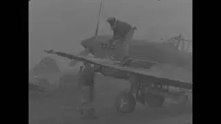 British 8th Army and US 99th Fighter Squadron, Tuskegee Airmen