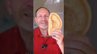 Ухо &mdash; это не просто орган слуха, это зеркало всего тела.