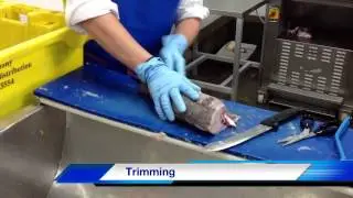 Haddock Steaks