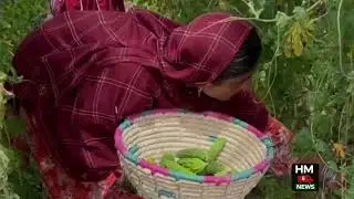 diyahi sandh min khwatin ki janb se pehli bar tanl farming apanana waqei ek aham or masbat tabadili