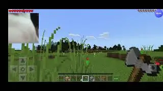 Minecraft but i cannot touch the color red