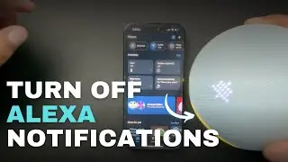 Turn Off the Alexa Notifications (Yellow Flashing Light)