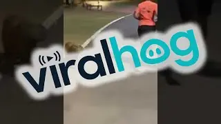 Capybara Causes Runner to Fall Over || ViralHog