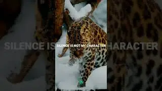 #lionstatus #whatsappstatus #shortvideo 🔥🔥