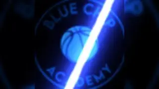Blue Chip Academy