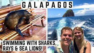 THE GALAPAGOS DAY 2 | PINZON BOAT TRIP | SEALS AND SHARKS