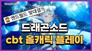 드래곤소드  전문스트리머 엔드파밍