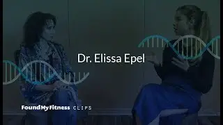 Telomeres explained: role in genomic stability, stem cells, replicative senescence | Elissa Epel