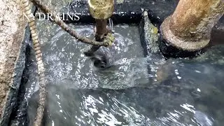 Easy Peasy Sewer Queasy #CloggedDrain #SewerCleaning #Shorts