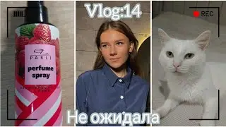Vlog:🎋Fix Price находки| WB зато как есть 🧐